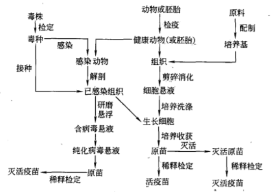 藥廠設計